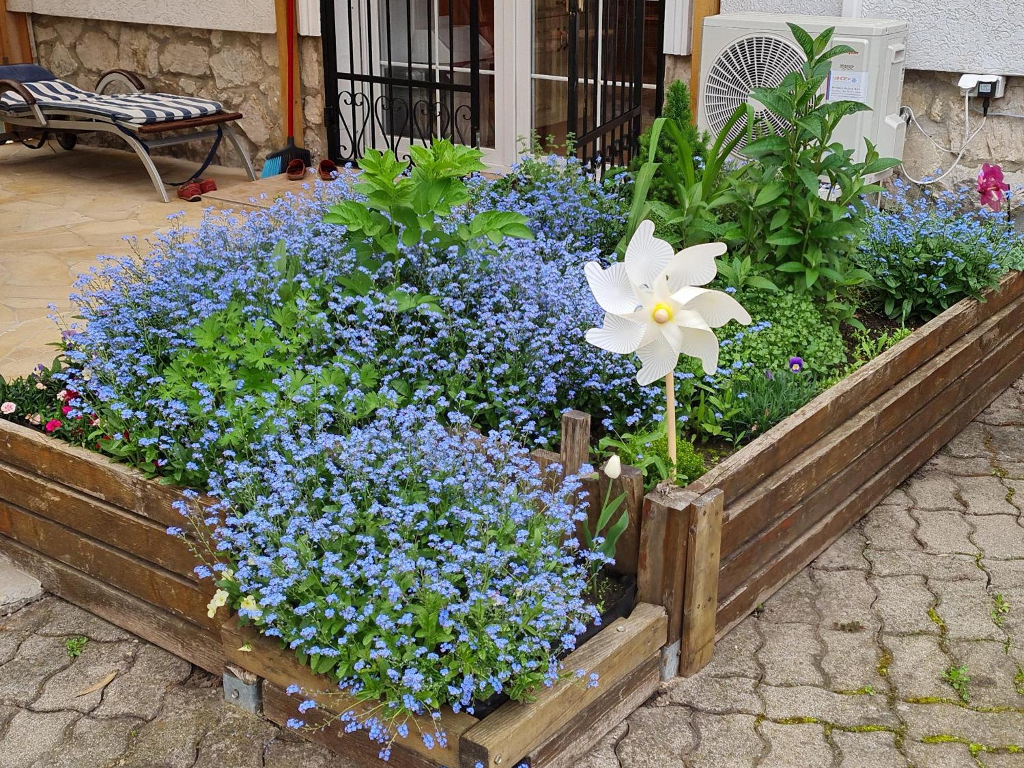 Ginger House Apartment Keszthely Ngoại thất bức ảnh